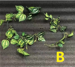 Simulated Wall-Mounted Creeper Ivy Window Decoration