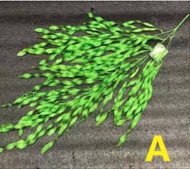 Forest System Simulation Hanging Flower Green Plant Background Decoration