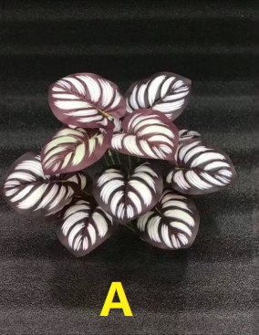 INS Simulated Pothos Plastic Artificial Green Plant Table Decoration