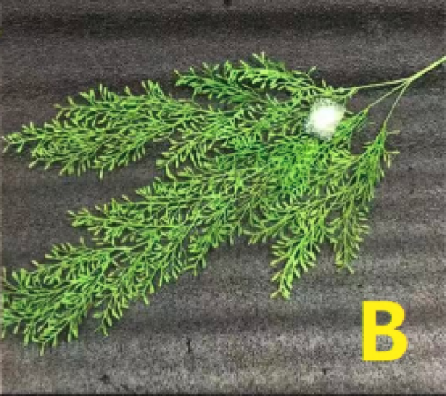 Forest System Simulation Hanging Flower Green Plant Background Decoration